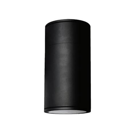 wayfair cylinder ceiling lights